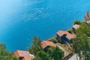 Neuigkeiten vom Steinberger See Chalets
